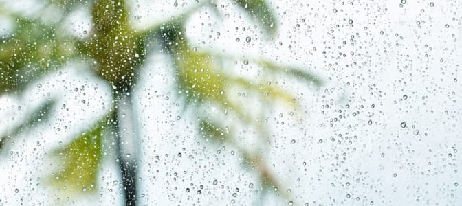 Raindrops on a window with blurred trees in the background.